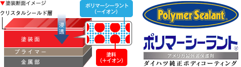 ポリマーシーラント塗装断面イメージ