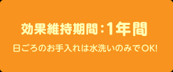 効果維持期間１年間
